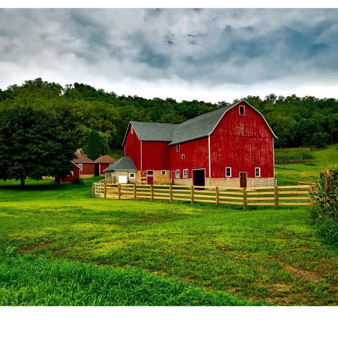 What Makes the Perfect Homestead?