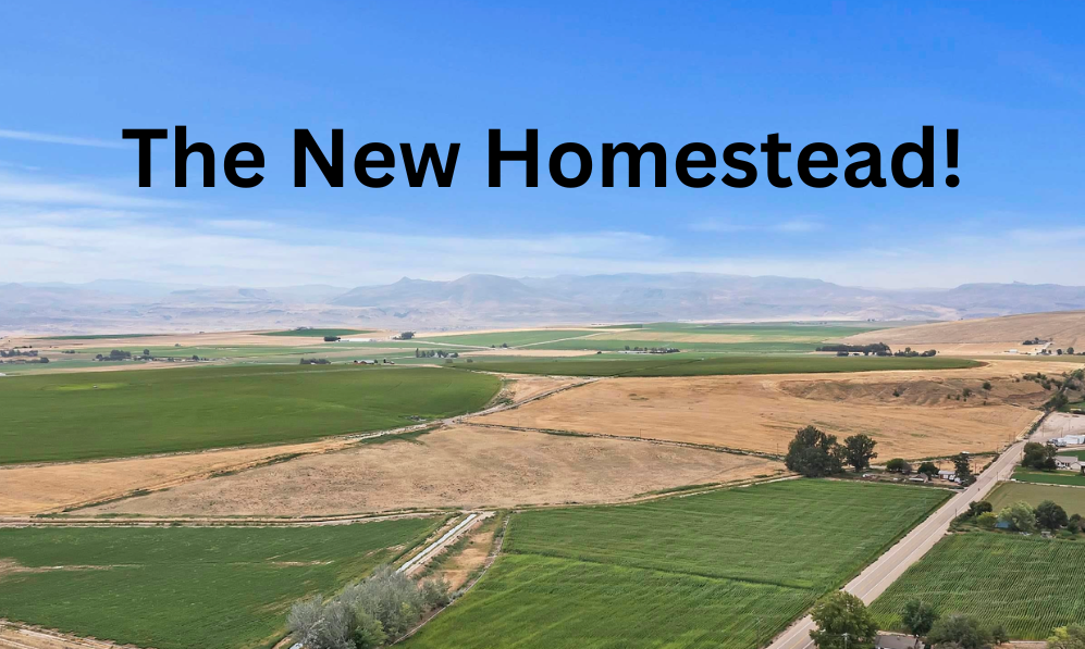 BIG News! We purchased land for our NEW homestead!